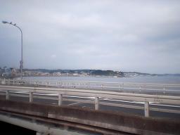 ���q����