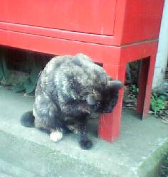 �L�܂�������