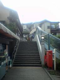 ����ɏ��