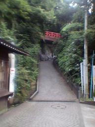 �����̓����