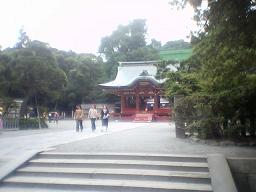 �����{�̒���