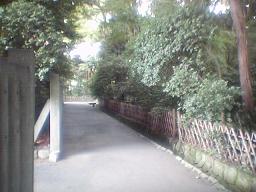 ���ɓ���΁c