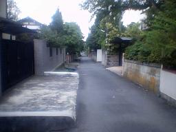 ���������̗��ʂ�