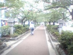 �����{�Q��