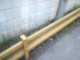 ���������A���́H