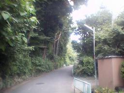 ����͈Â��ł�