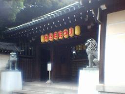 �����_�З���̖�