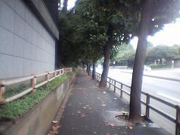 �璹�����̕���