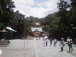 �߉������{