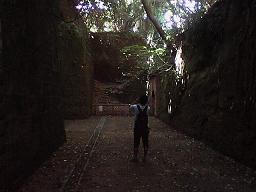 �����̌�