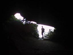 ���A�̒�����