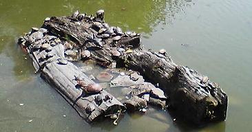 �J���J���J��