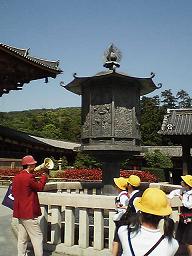 ���p����