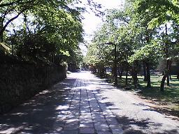 �啧�a�O��