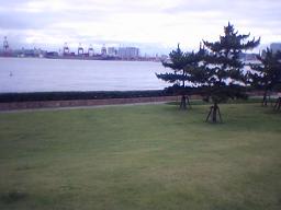 �C�̌��������