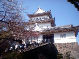 ���c����