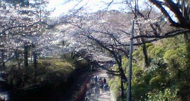 ��T�Ԍ�Ȃ�c