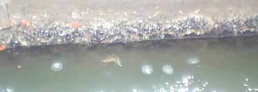 �ފ݂͂܂���