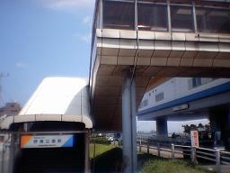 �쓇�����w