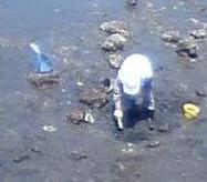 ���΂�����